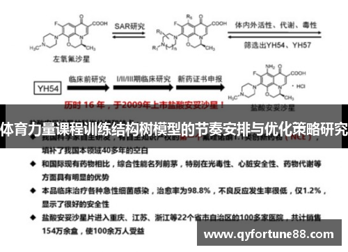 体育力量课程训练结构树模型的节奏安排与优化策略研究