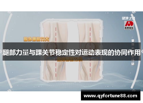腿部力量与踝关节稳定性对运动表现的协同作用